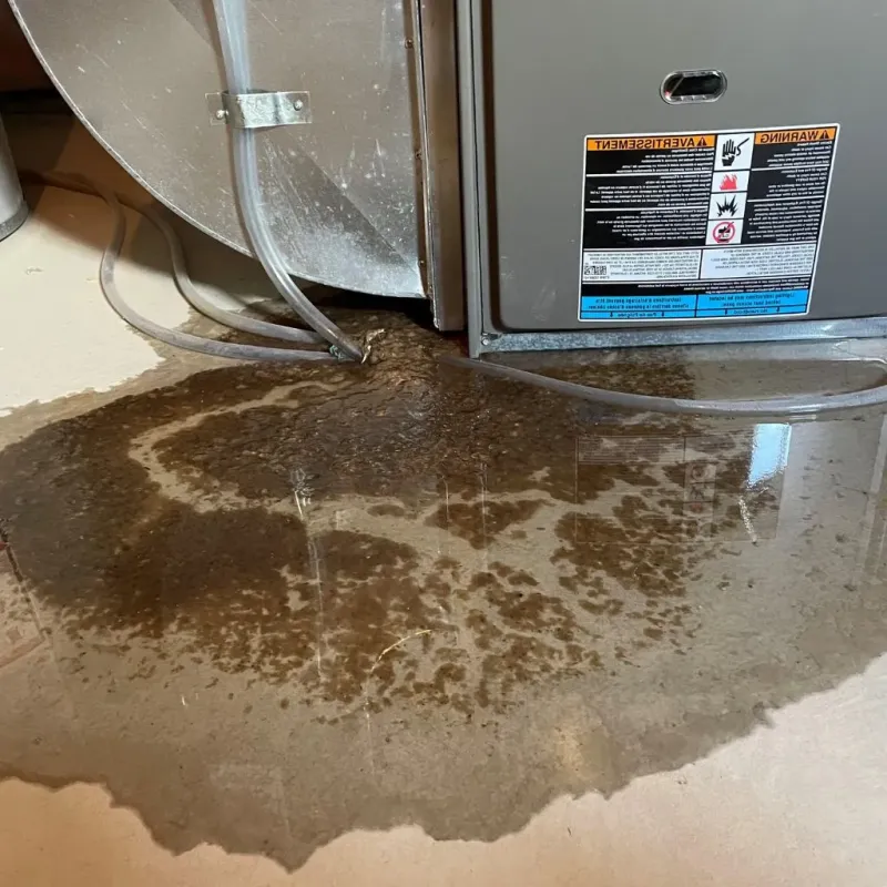 Pipe Burst and Leak Restoration in Upper Nyack, NY